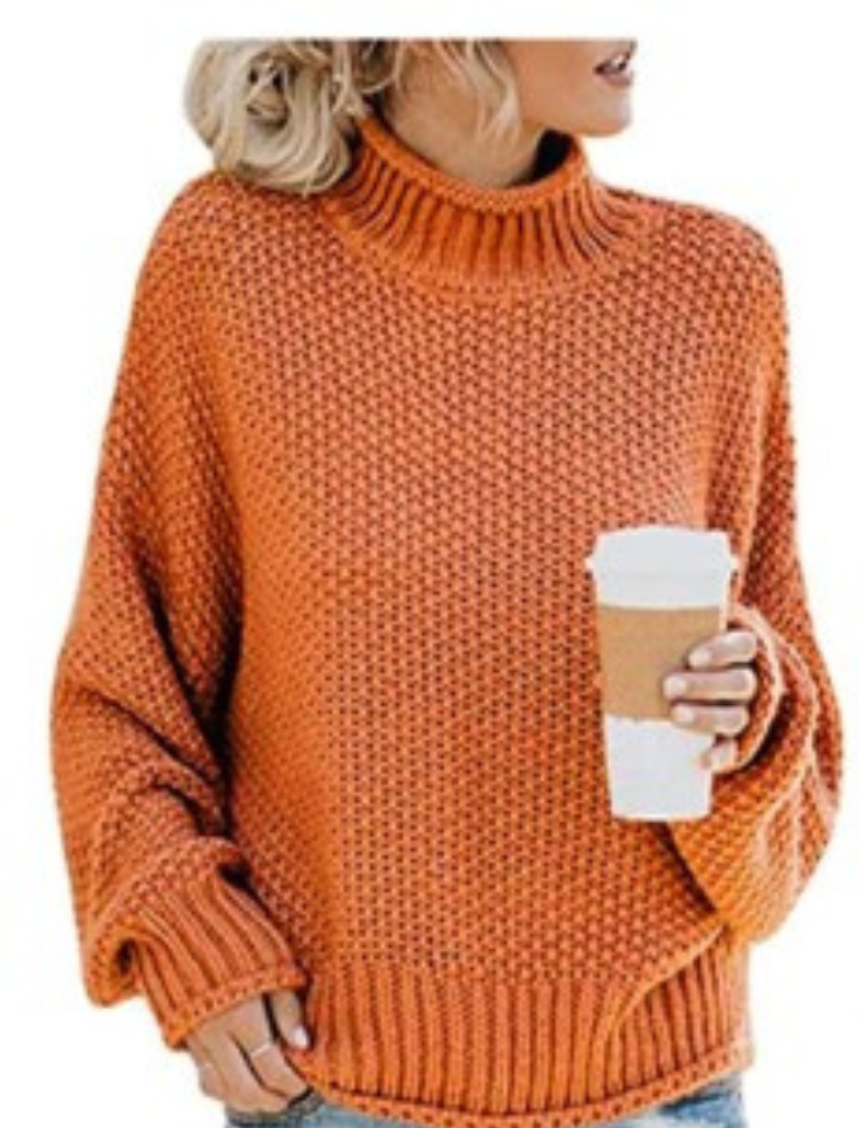 Anni - Unifarbener langärmeliger Pullover