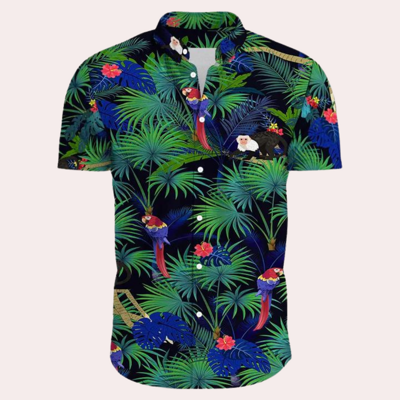 Andre - Buntes und trendiges Hawaiianisches Herrenhemd