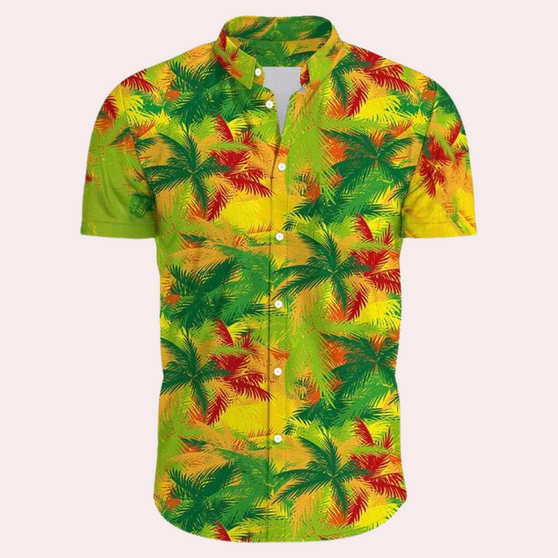 Andre - Buntes und trendiges Hawaiianisches Herrenhemd